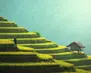 Malaysia01