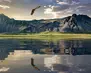 New Zealand01