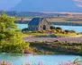 New Zealand03