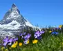Switzerland01